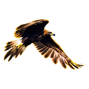 Golden Eagle Silhouette Png 06202024 PNG image