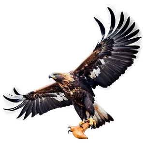 Golden Eagle Talons Outstretched Png 7 PNG image