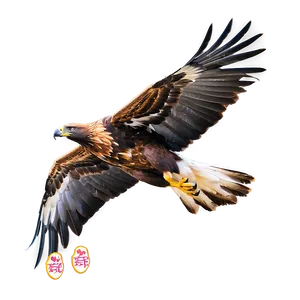 Golden Eagle Talons Outstretched Png Lhn23 PNG image