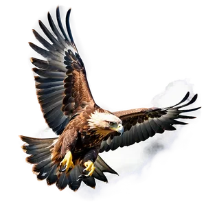 Golden Eagle With Dramatic Sky PNG 44 PNG