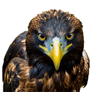 Golden Eagle With Piercing Eyes Png Qks75 PNG image