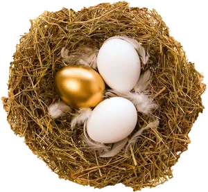 Golden Eggin Nest.jpg PNG image
