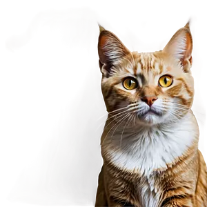 Golden Eyed Cat Head PNG 26 PNG