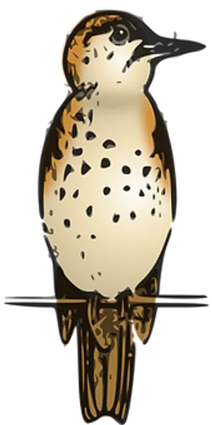 Golden Falcon Illustration