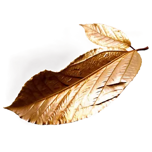 Golden Fall Leaf Png Yar89 PNG image