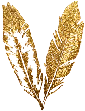 Golden Feather Artwork PNG image