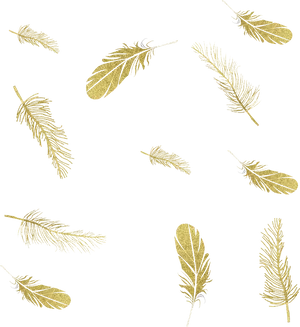 Golden Feathers Black Background PNG image