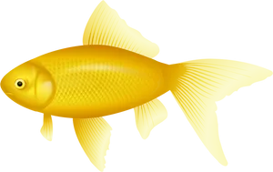 Golden Fish Illustration PNG image