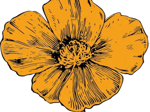 Golden Flower Illustration.png