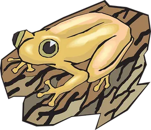 Golden Frog Illustration