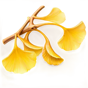 Golden Ginkgo Leaves Png Xwe PNG image