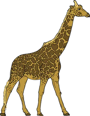 Golden Giraffe Silhouette PNG image