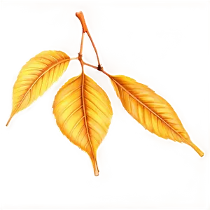 Golden Hour Leaves PNG Otj78 PNG