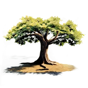 Golden Hour Tree Shadow PNG Kej