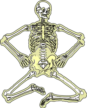Golden Human Skeleton Illustration PNG image