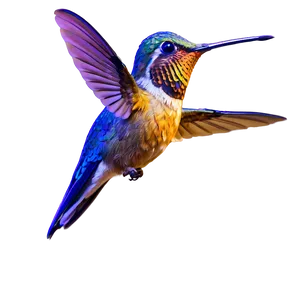 Golden Hummingbird Png Efq PNG image