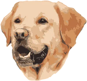 Golden Labrador Vector Portrait PNG image