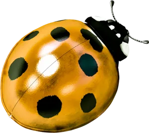 Golden Ladybug Illustration PNG image