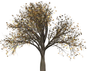 Golden Leaves Treeon Black Background