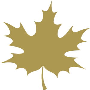 Golden Maple Leaf Silhouette PNG image