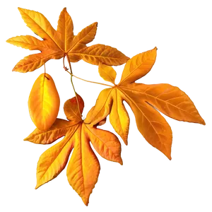 Golden Mississippi Fall Foliage Png 20 PNG image