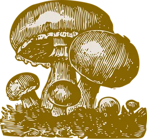 Golden_ Mushroom_ Illustration PNG image