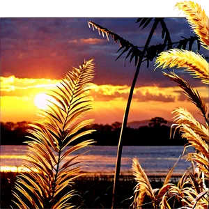 Golden Pampas Sunset Png 12 PNG image