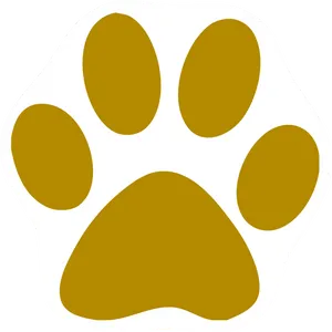 Golden Paw Print Graphic PNG image