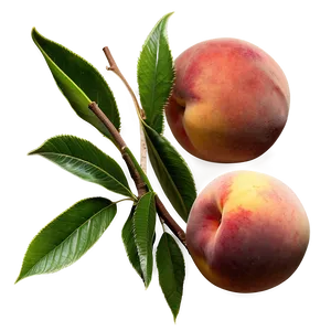 Golden Peach Glow Png Oll97 PNG image