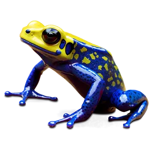 Golden Poison Dart Frog PNG 06132024