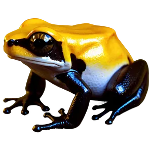 Golden Poison Dart Frog PNG 22