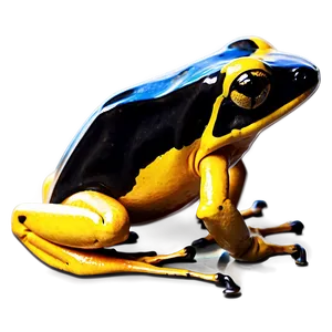 Golden Poison Dart Frog PNG Jdl66