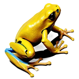 Golden Poison Dart Frog PNG Wba