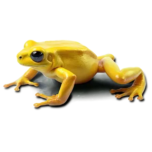 Golden Poison Frog PNG Hye8