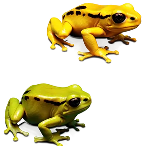 Golden Poison Frog PNG Wrj