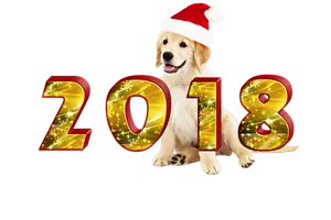 Golden Retriever Celebrates2018 New Year PNG image