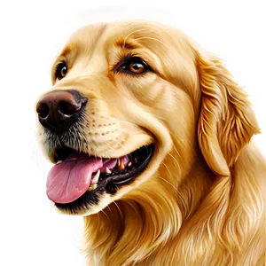 Golden Retriever Dog Head PNG 17 PNG