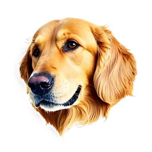 Golden Retriever Dog Head PNG Qxq46 PNG