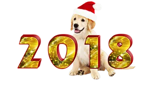 Golden_ Retriever_ New_ Year_2018_ Celebration PNG image