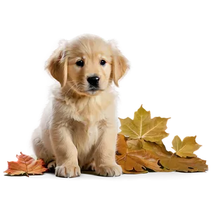 Golden Retriever Puppy And Leaves Png 24 PNG image