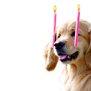 Golden Retriever Puppy Birthday Hat PNG Vwf5 PNG