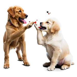 Golden Retriever Puppy Eating Png 06252024 PNG image