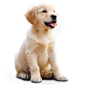 Golden Retriever Puppy Eating PNG 06252024 PNG