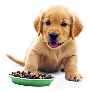 Golden Retriever Puppy Eating Png 06252024 PNG image