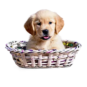 Golden Retriever Puppy In Basket Png Imf3 PNG image