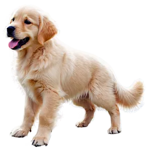 Golden Retriever Puppy In Snow Png 06252024 PNG image