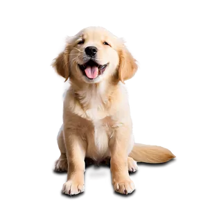 Golden Retriever Puppy Licking PNG 98 PNG
