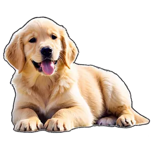 Golden Retriever Puppy On Beach PNG 67