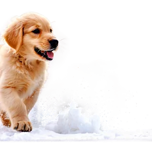 Golden Retriever Puppy Snow Play Png Ckb PNG image