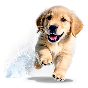 Golden Retriever Puppy Snow Play PNG Wwm16 PNG